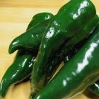 Chili Poblano Chili Poblano Samen